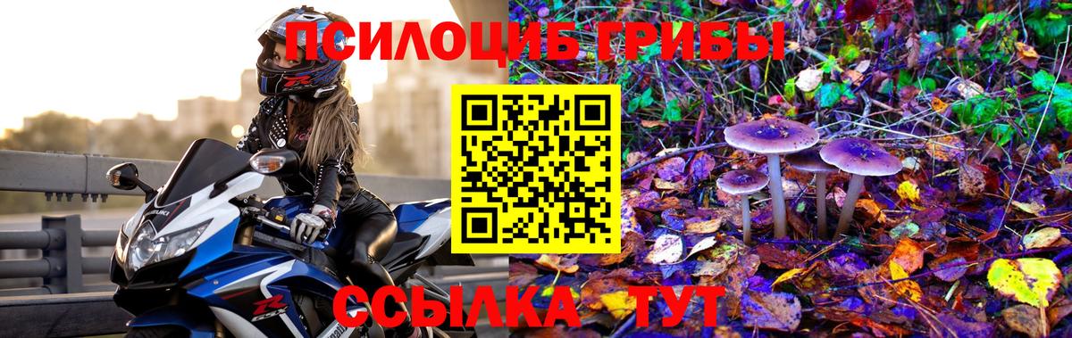 Псилоцибиновые грибы мухоморы  Вход с VPN  Пермь  Галлюциногенные грибы мухоморы 